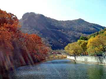 澳门二四六天天彩图库，蓝天观赏鸽